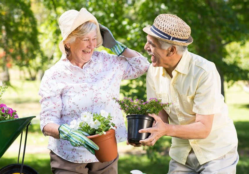 Spring Activities for Seniors
