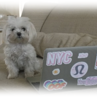 Moore care dog