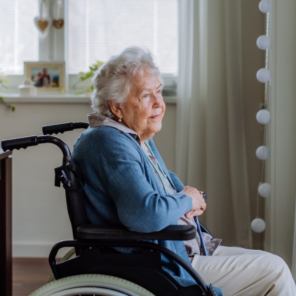 senior loneliness solutions